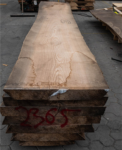 80 mm Esche Stammware, KD